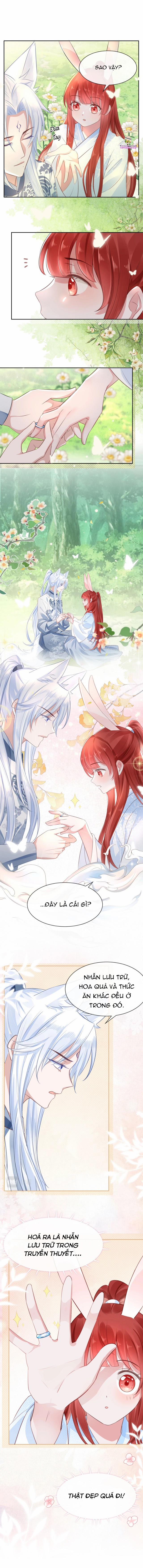 Nuôi Thỏ? Nam Chính Hắc Hóa Rồi! 15 trang 4