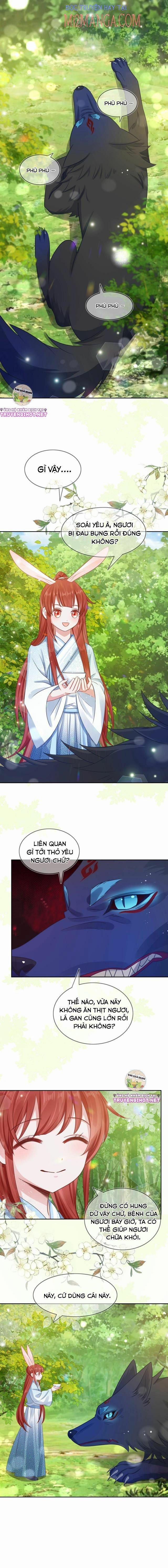 Nuôi Thỏ? Nam Chính Hắc Hóa Rồi! 17.1 trang 0