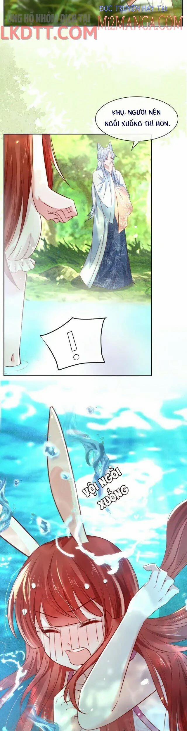 Nuôi Thỏ? Nam Chính Hắc Hóa Rồi! 25 trang 5