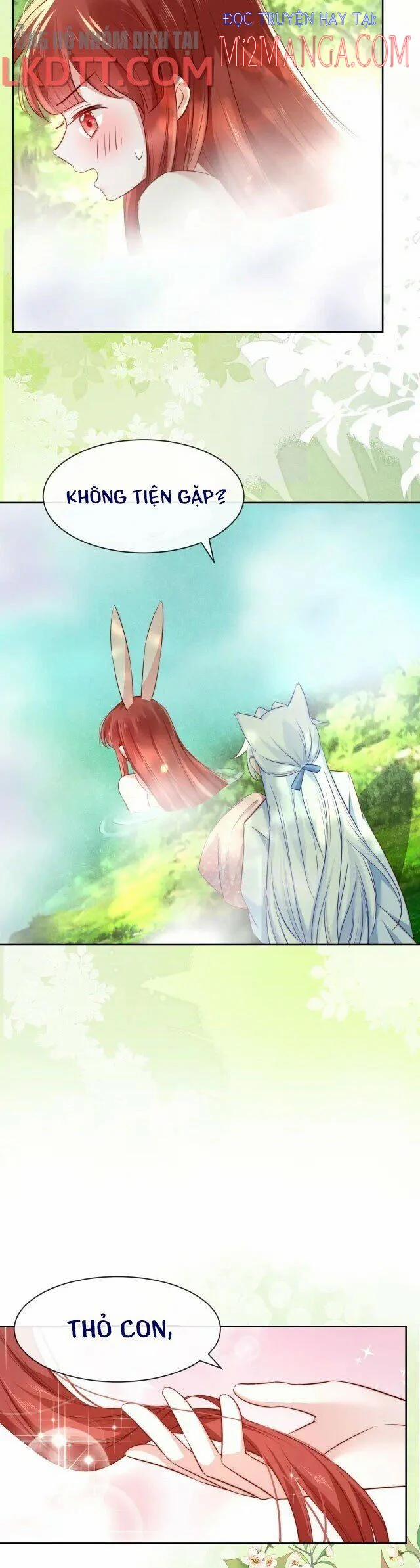 Nuôi Thỏ? Nam Chính Hắc Hóa Rồi! 25 trang 8