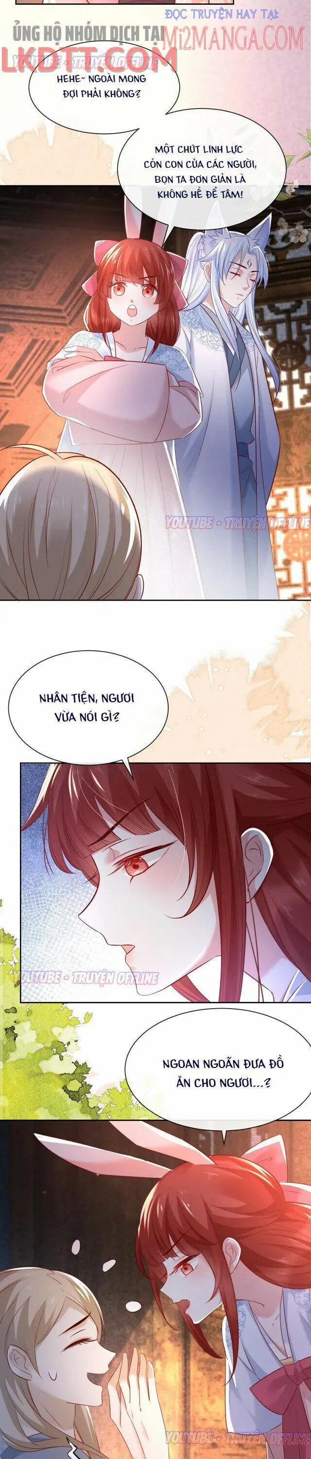 Nuôi Thỏ? Nam Chính Hắc Hóa Rồi! 27 trang 1