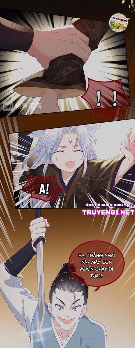 Nuôi Thỏ? Nam Chính Hắc Hóa Rồi! 3 trang 11