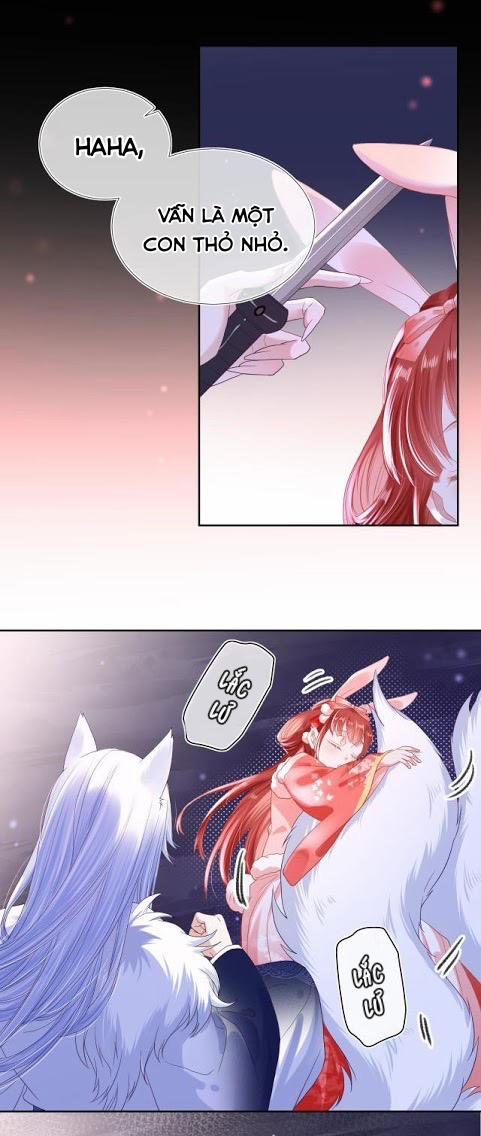 Nuôi Thỏ? Nam Chính Hắc Hóa Rồi! 3 trang 21