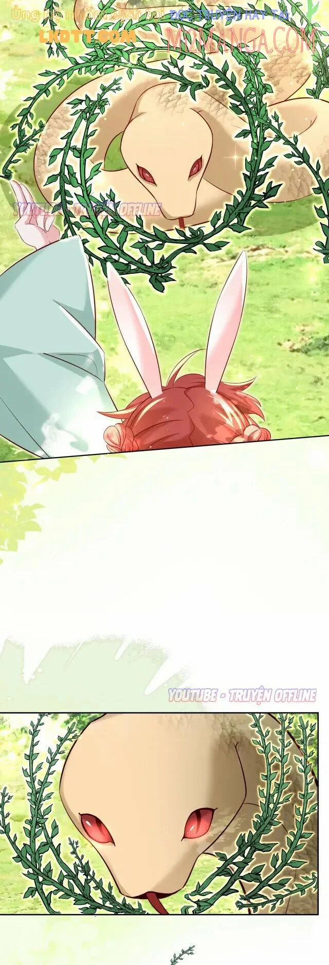 Nuôi Thỏ? Nam Chính Hắc Hóa Rồi! 30 trang 11
