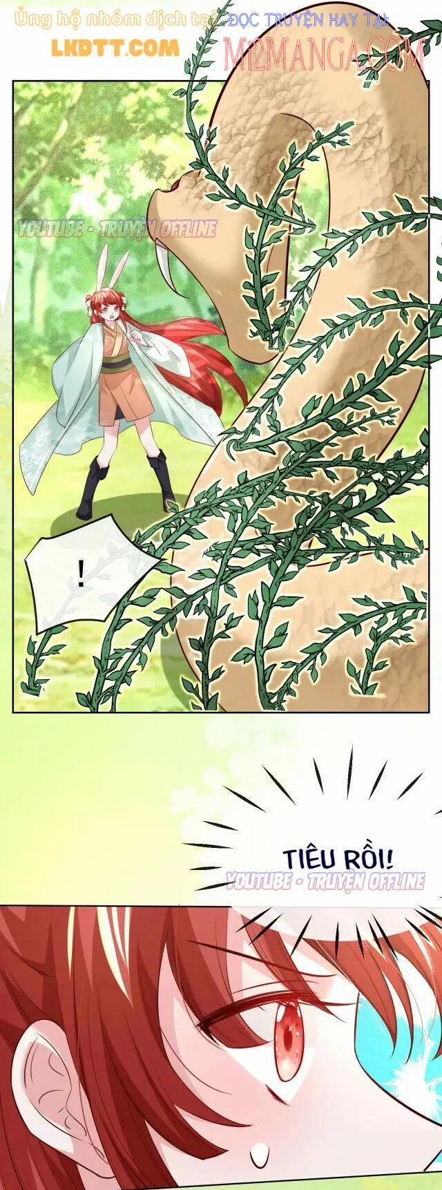 Nuôi Thỏ? Nam Chính Hắc Hóa Rồi! 30 trang 12