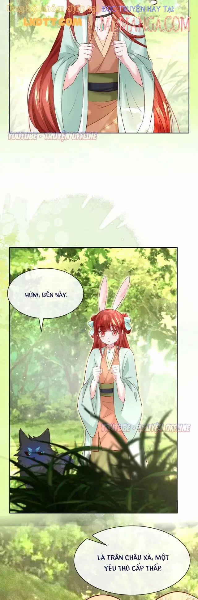 Nuôi Thỏ? Nam Chính Hắc Hóa Rồi! 30 trang 6