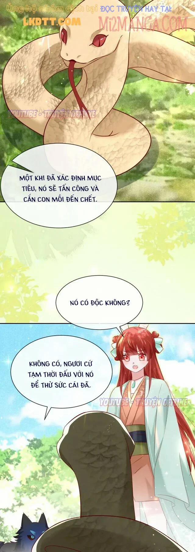 Nuôi Thỏ? Nam Chính Hắc Hóa Rồi! 30 trang 7