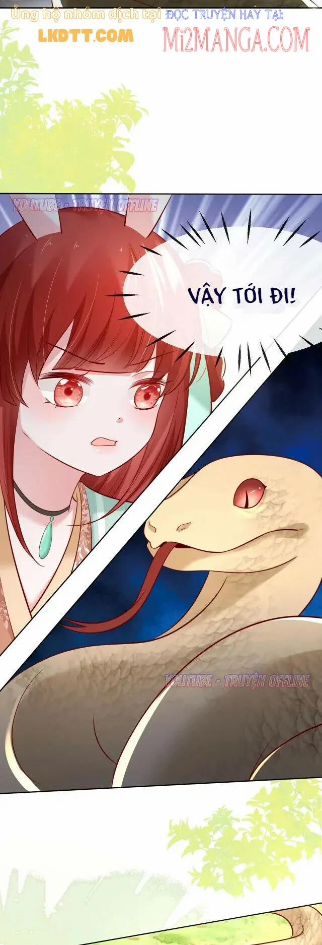 Nuôi Thỏ? Nam Chính Hắc Hóa Rồi! 30 trang 8