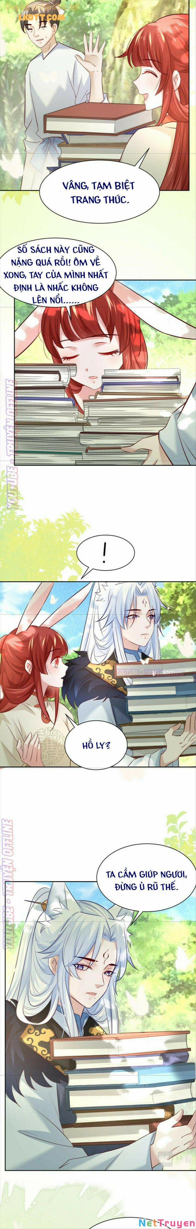 Nuôi Thỏ? Nam Chính Hắc Hóa Rồi! 35 trang 2