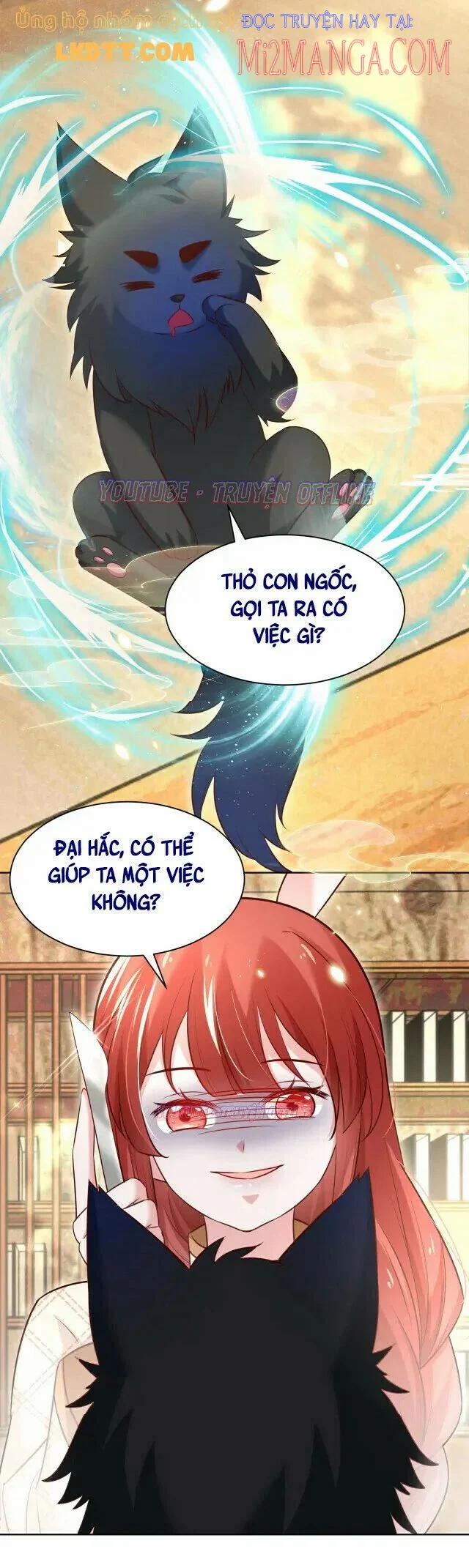 Nuôi Thỏ? Nam Chính Hắc Hóa Rồi! 39 trang 14
