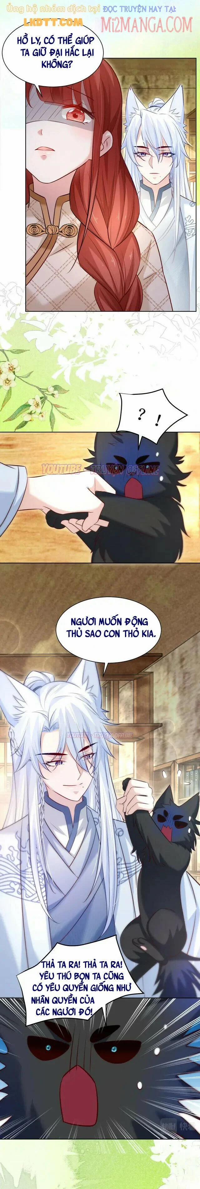 Nuôi Thỏ? Nam Chính Hắc Hóa Rồi! 39 trang 16