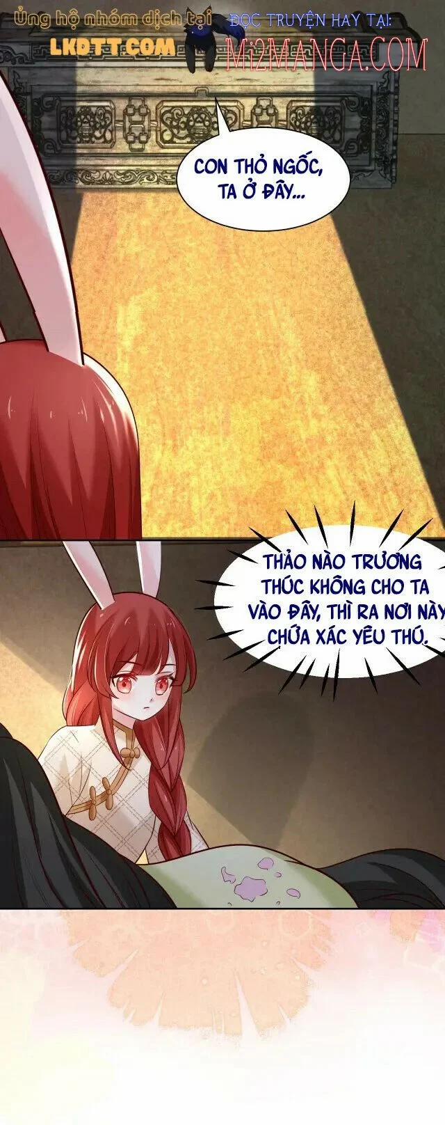 Nuôi Thỏ? Nam Chính Hắc Hóa Rồi! 40 trang 11