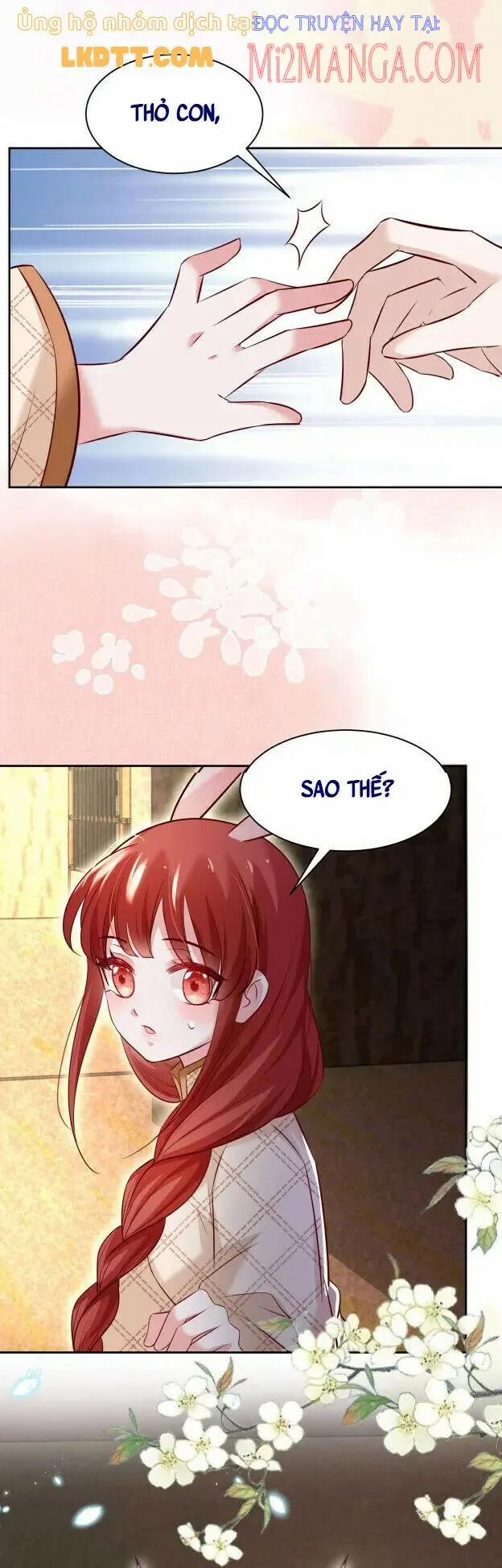 Nuôi Thỏ? Nam Chính Hắc Hóa Rồi! 40 trang 18