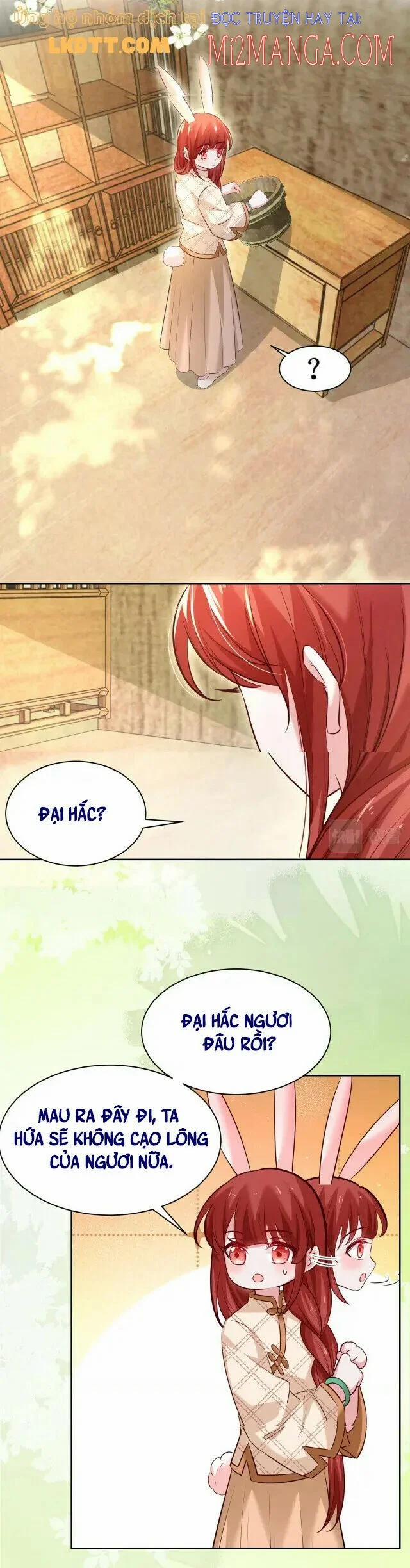 Nuôi Thỏ? Nam Chính Hắc Hóa Rồi! 40 trang 4