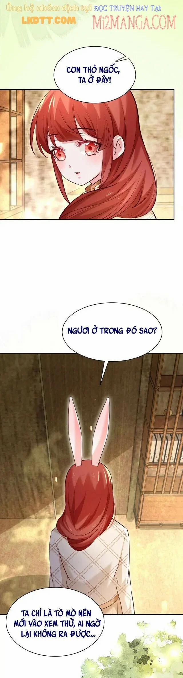 Nuôi Thỏ? Nam Chính Hắc Hóa Rồi! 40 trang 5