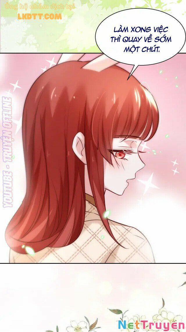 Nuôi Thỏ? Nam Chính Hắc Hóa Rồi! 41 trang 11