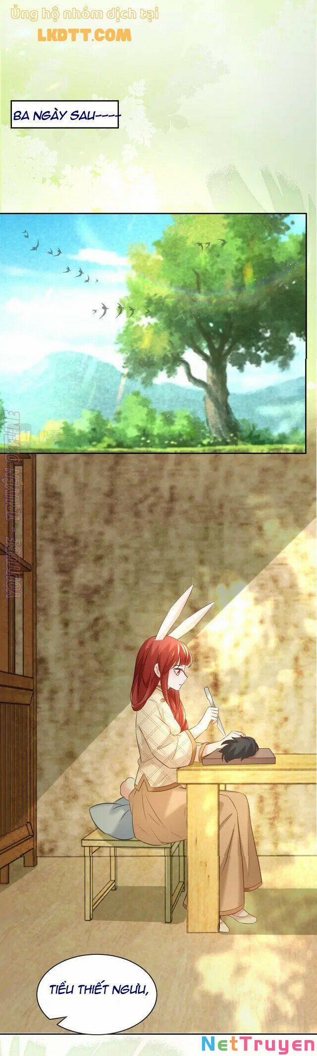 Nuôi Thỏ? Nam Chính Hắc Hóa Rồi! 41 trang 13