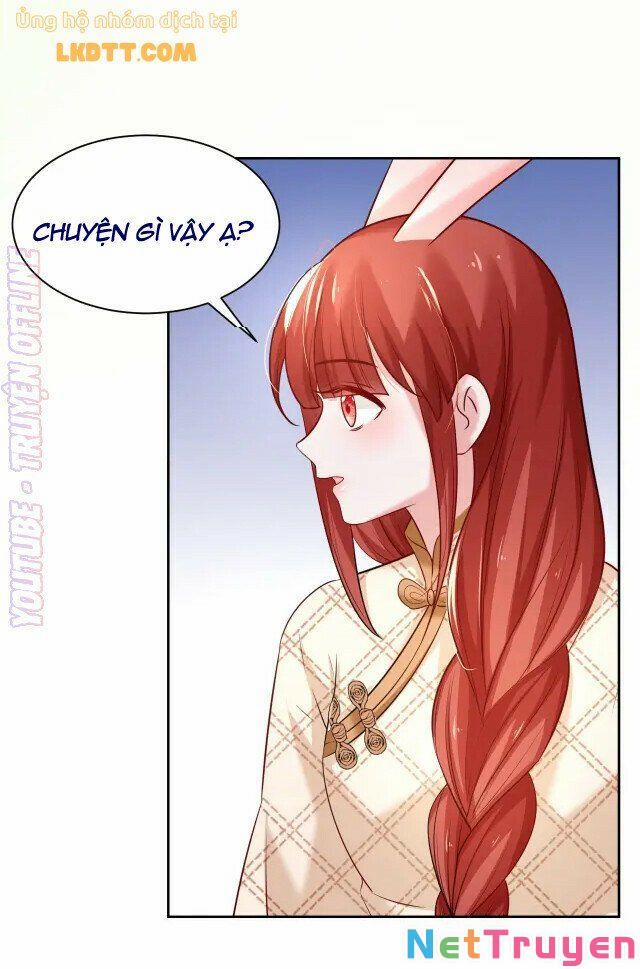 Nuôi Thỏ? Nam Chính Hắc Hóa Rồi! 41 trang 15