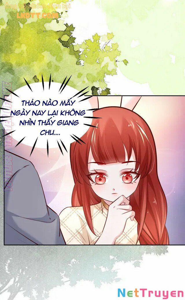 Nuôi Thỏ? Nam Chính Hắc Hóa Rồi! 41 trang 19