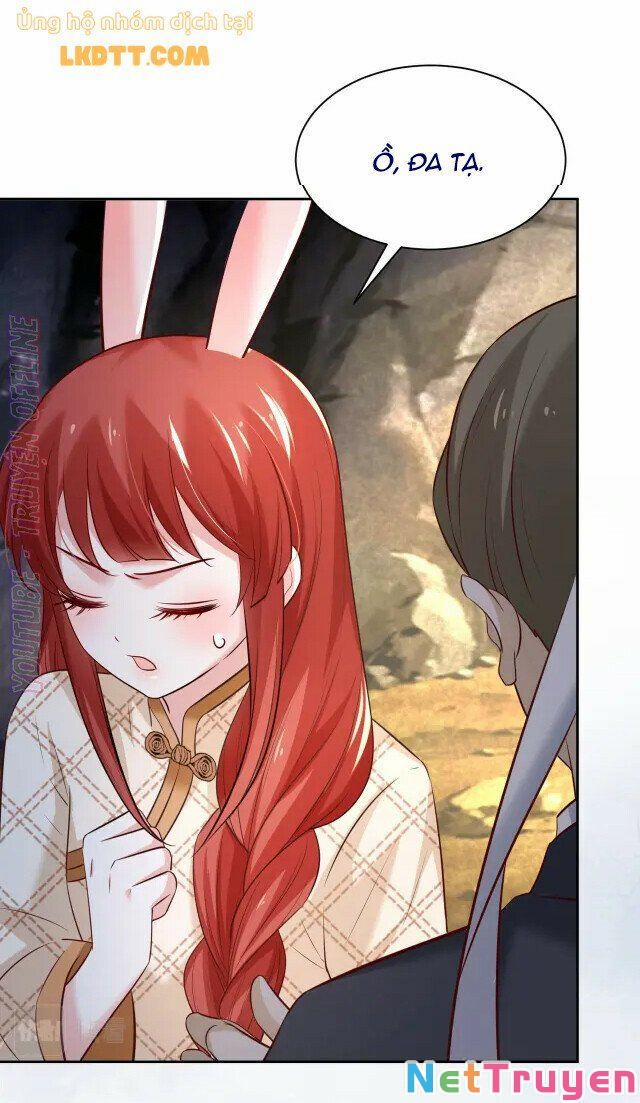 Nuôi Thỏ? Nam Chính Hắc Hóa Rồi! 41 trang 30