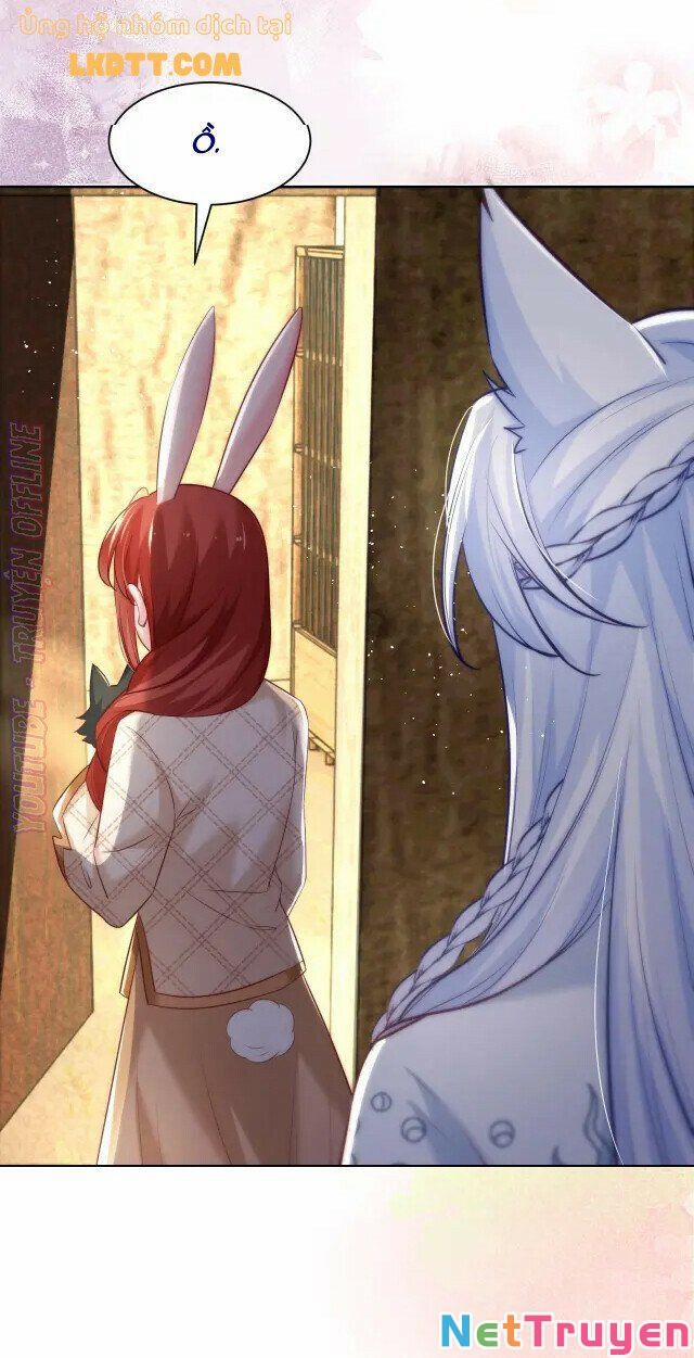 Nuôi Thỏ? Nam Chính Hắc Hóa Rồi! 41 trang 4