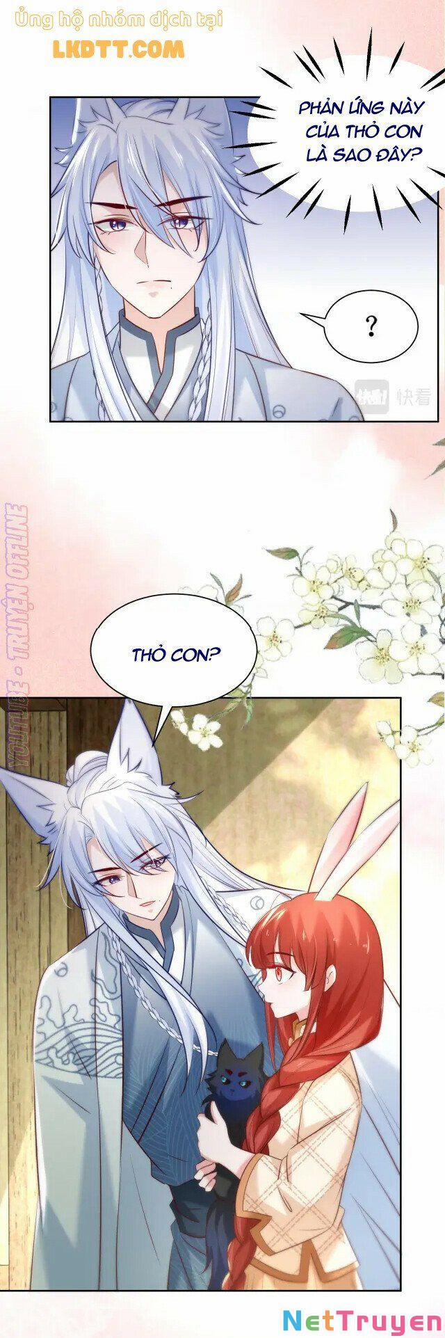 Nuôi Thỏ? Nam Chính Hắc Hóa Rồi! 41 trang 5