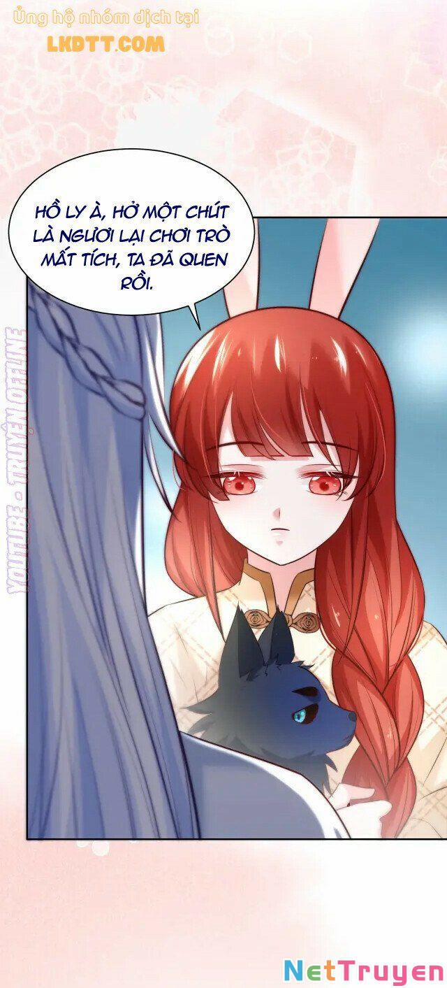 Nuôi Thỏ? Nam Chính Hắc Hóa Rồi! 41 trang 6