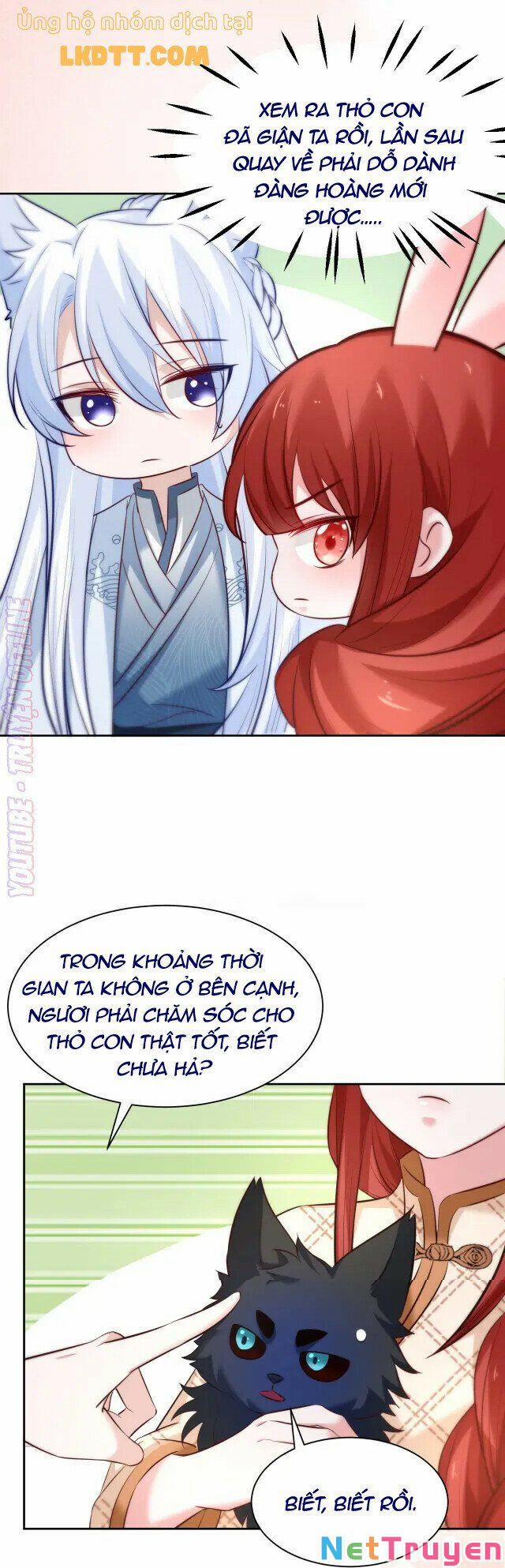 Nuôi Thỏ? Nam Chính Hắc Hóa Rồi! 41 trang 7