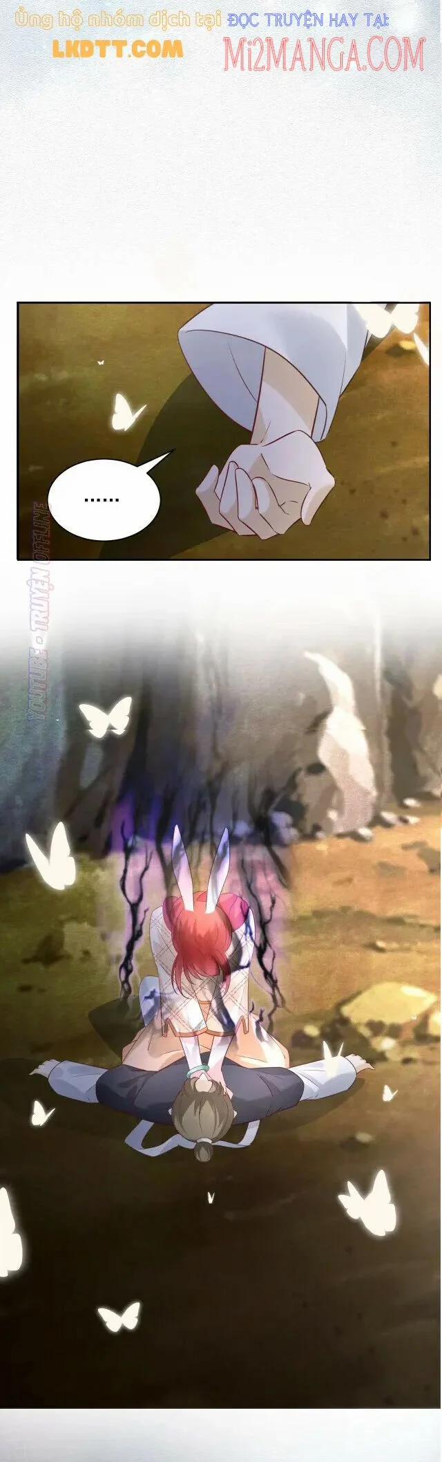 Nuôi Thỏ? Nam Chính Hắc Hóa Rồi! 42 trang 22