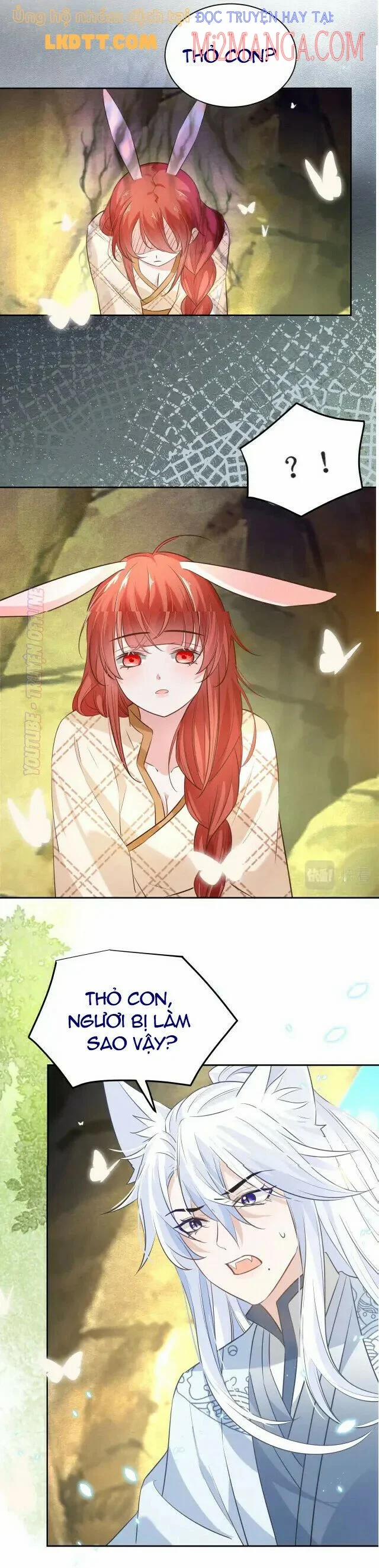 Nuôi Thỏ? Nam Chính Hắc Hóa Rồi! 42 trang 23