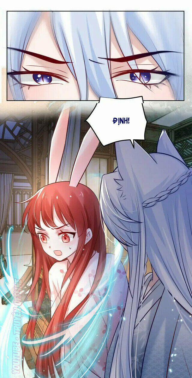 Nuôi Thỏ? Nam Chính Hắc Hóa Rồi! 43 trang 11