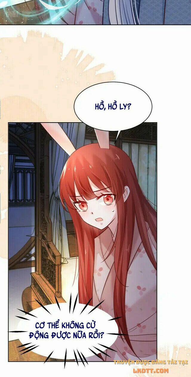 Nuôi Thỏ? Nam Chính Hắc Hóa Rồi! 43 trang 12