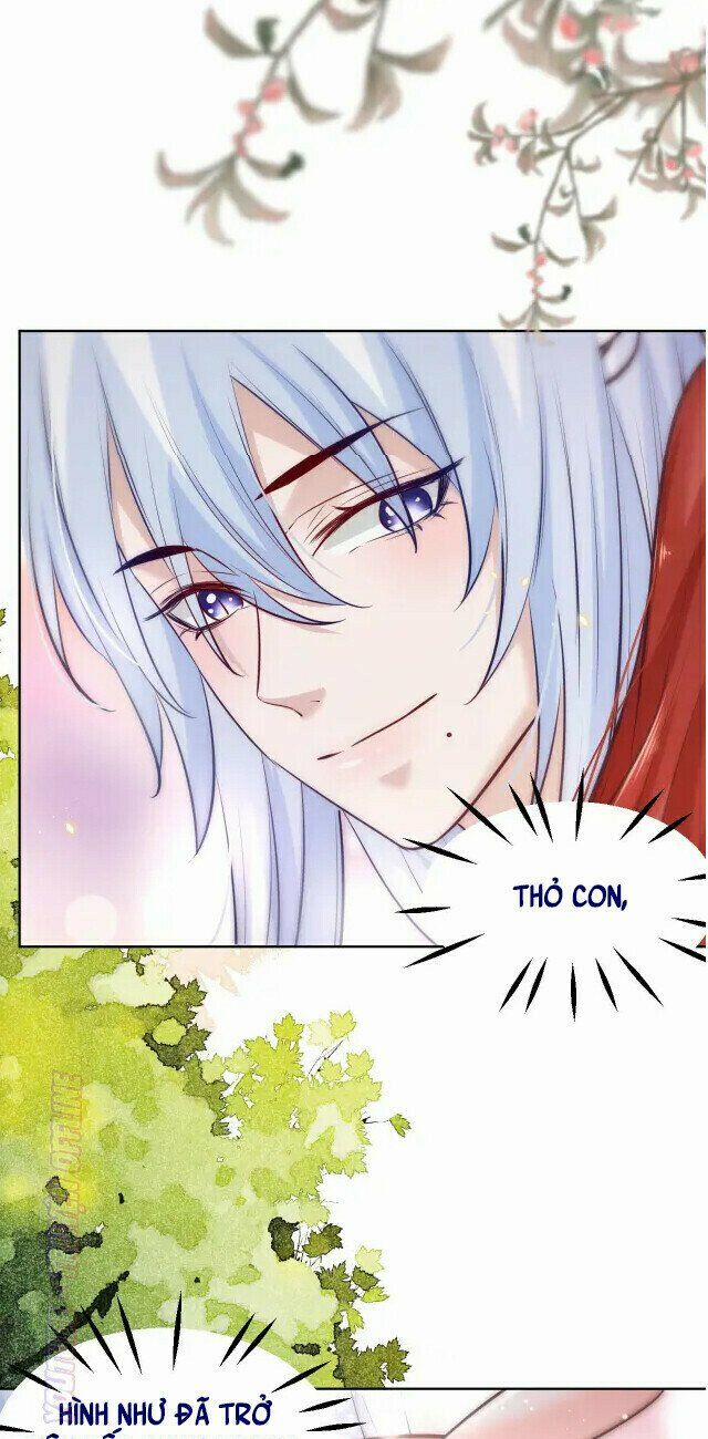 Nuôi Thỏ? Nam Chính Hắc Hóa Rồi! 43 trang 31