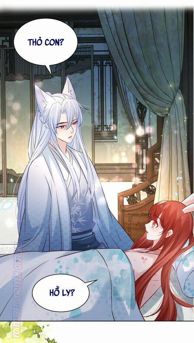 Nuôi Thỏ? Nam Chính Hắc Hóa Rồi! 43 trang 4