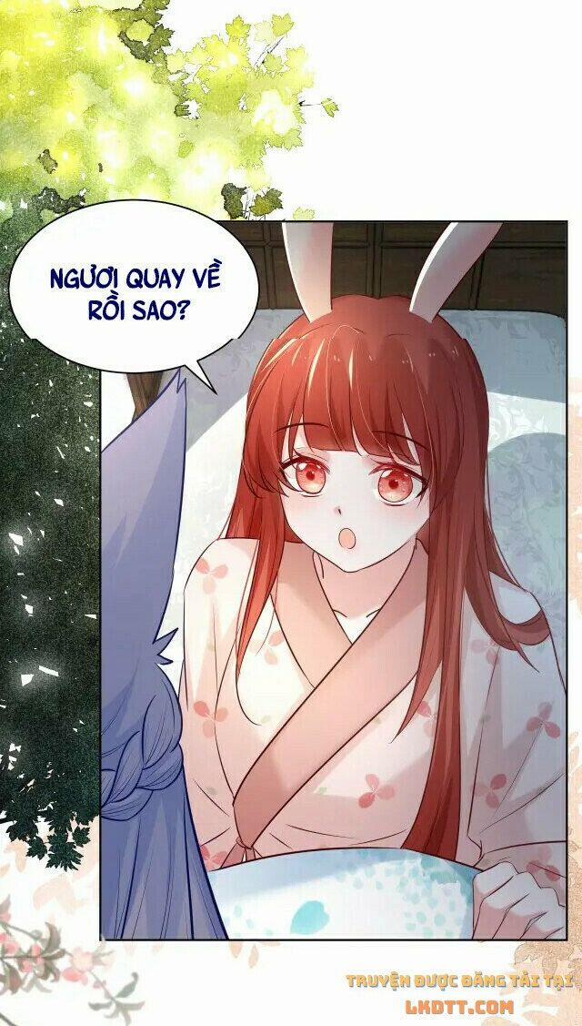 Nuôi Thỏ? Nam Chính Hắc Hóa Rồi! 43 trang 5