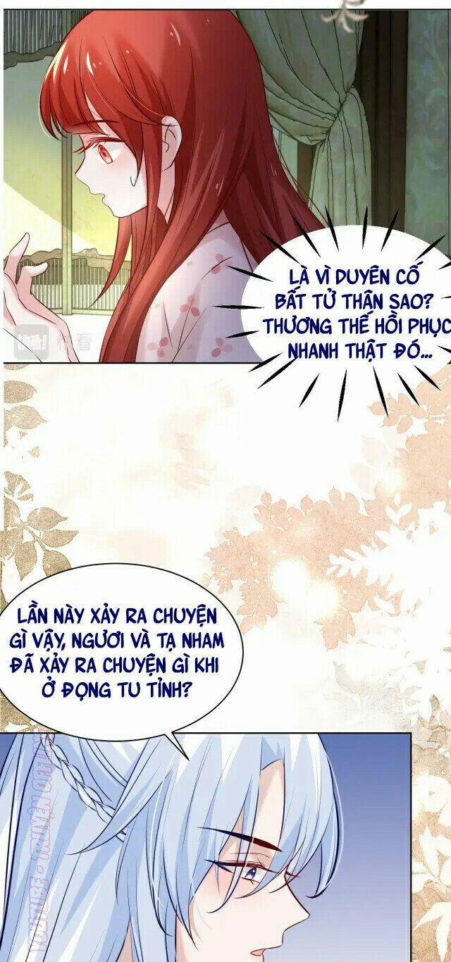 Nuôi Thỏ? Nam Chính Hắc Hóa Rồi! 43 trang 7