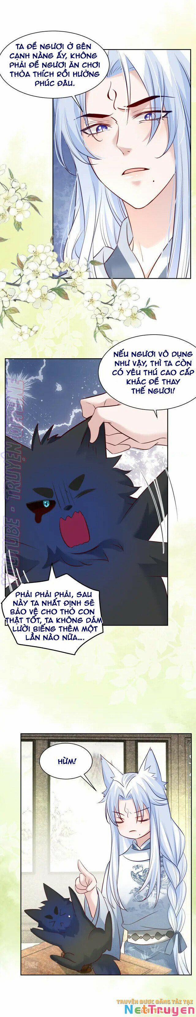 Nuôi Thỏ? Nam Chính Hắc Hóa Rồi! 44 trang 11