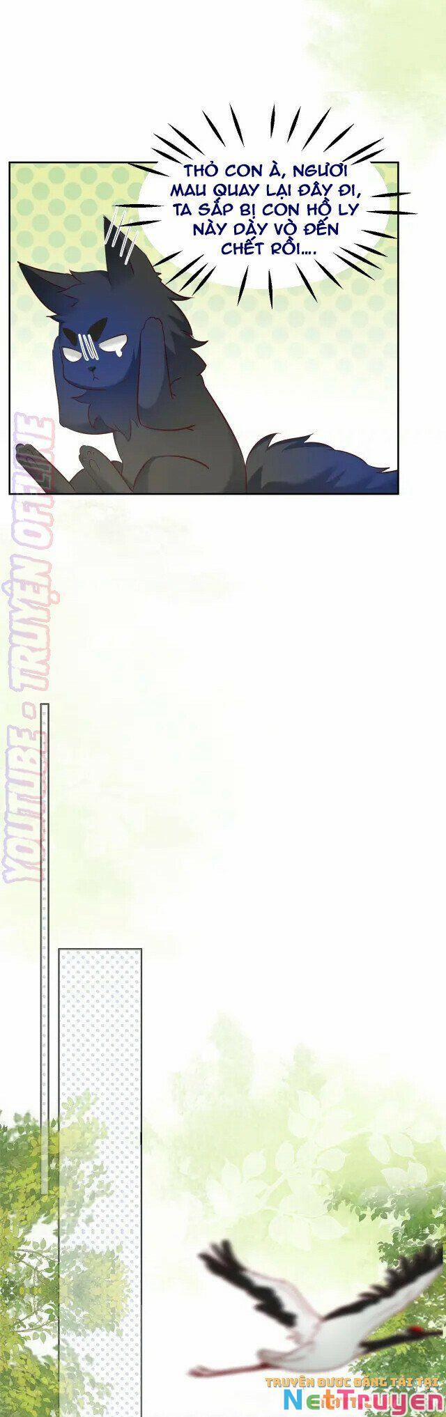 Nuôi Thỏ? Nam Chính Hắc Hóa Rồi! 44 trang 12