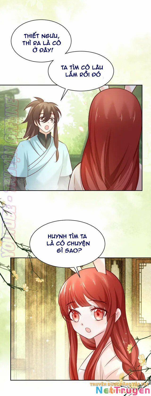 Nuôi Thỏ? Nam Chính Hắc Hóa Rồi! 44 trang 14