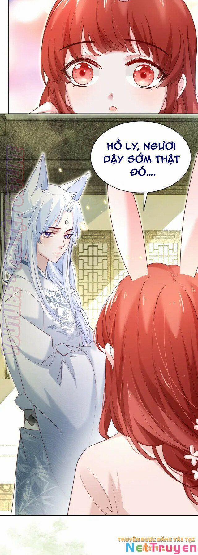 Nuôi Thỏ? Nam Chính Hắc Hóa Rồi! 44 trang 3