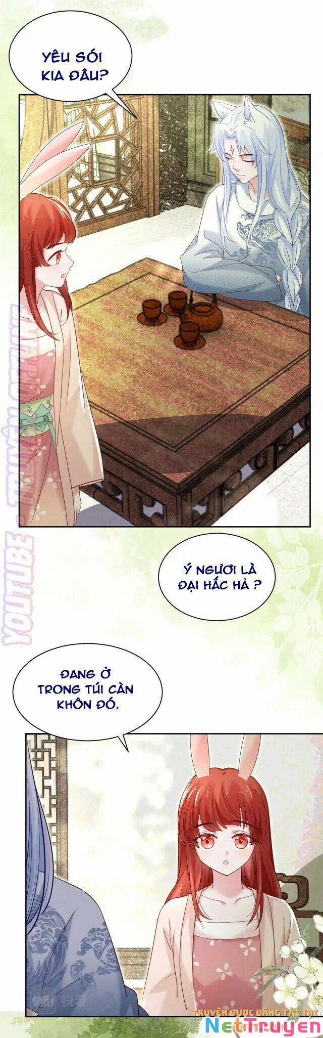 Nuôi Thỏ? Nam Chính Hắc Hóa Rồi! 44 trang 4