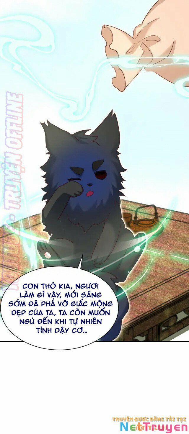 Nuôi Thỏ? Nam Chính Hắc Hóa Rồi! 44 trang 6