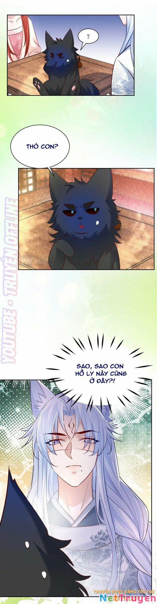 Nuôi Thỏ? Nam Chính Hắc Hóa Rồi! 44 trang 7