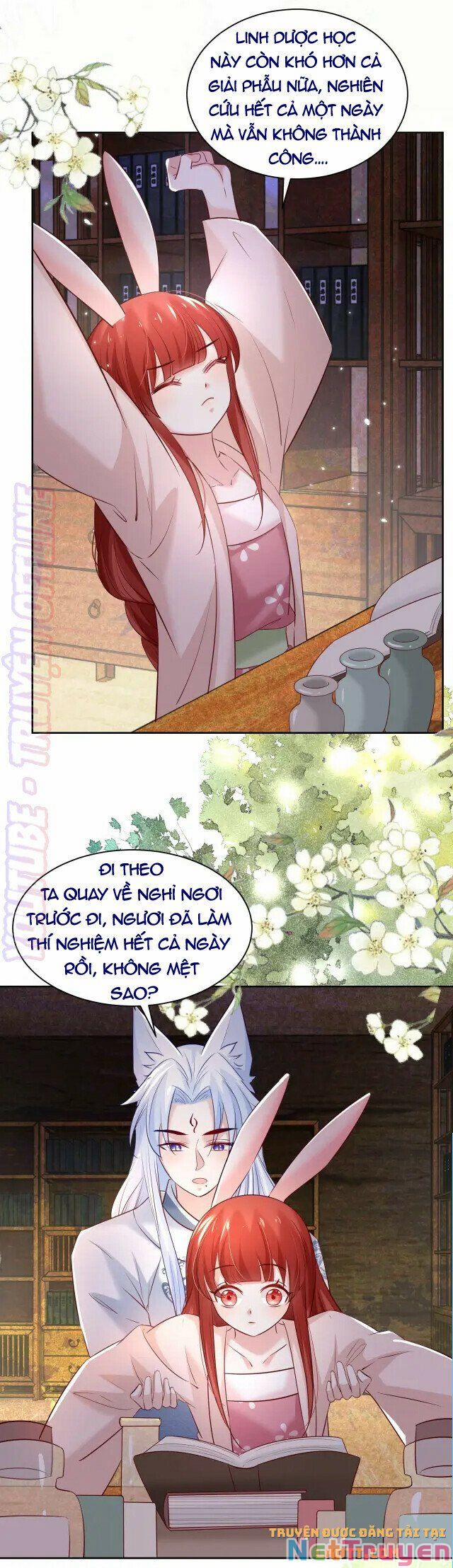 Nuôi Thỏ? Nam Chính Hắc Hóa Rồi! 45 trang 10
