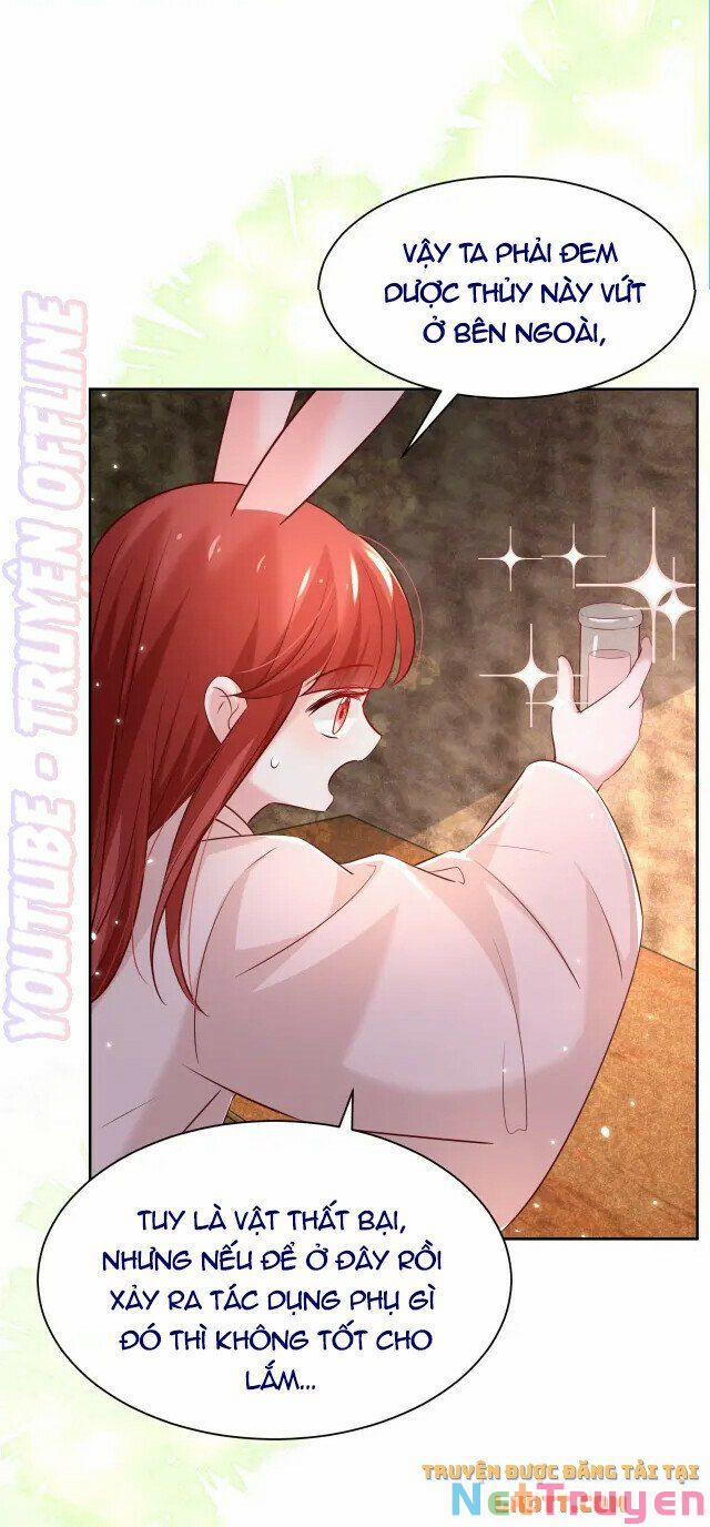 Nuôi Thỏ? Nam Chính Hắc Hóa Rồi! 45 trang 11