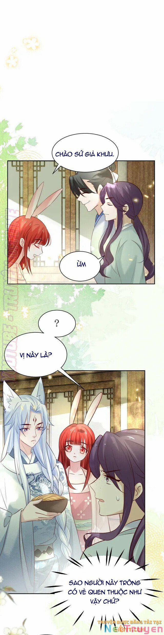 Nuôi Thỏ? Nam Chính Hắc Hóa Rồi! 45 trang 5