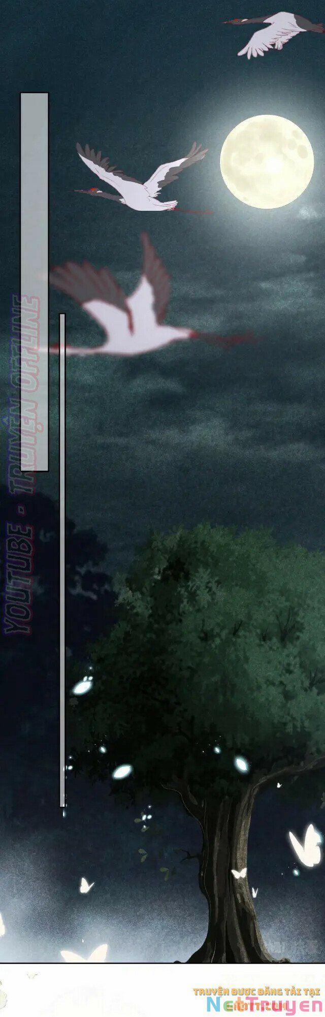 Nuôi Thỏ? Nam Chính Hắc Hóa Rồi! 45 trang 9