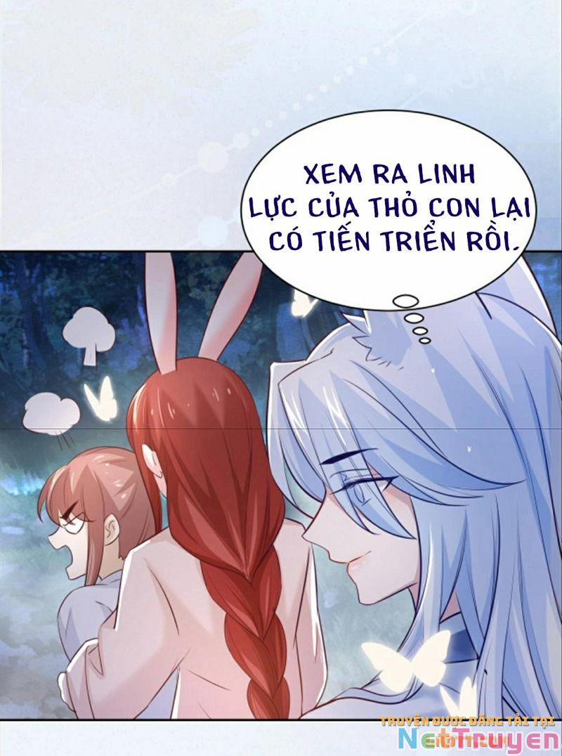 Nuôi Thỏ? Nam Chính Hắc Hóa Rồi! 46 trang 11