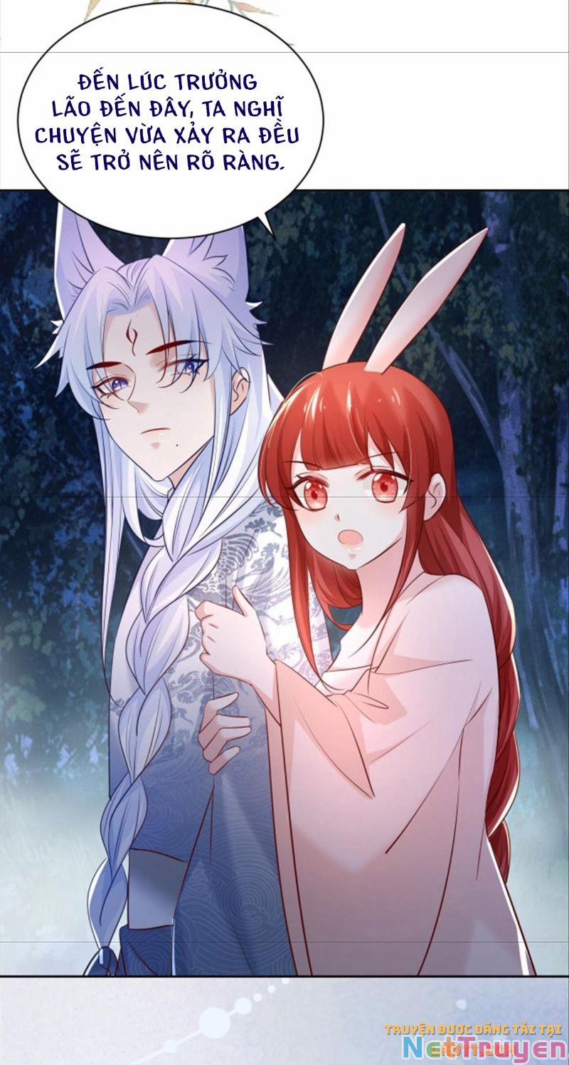 Nuôi Thỏ? Nam Chính Hắc Hóa Rồi! 46 trang 14