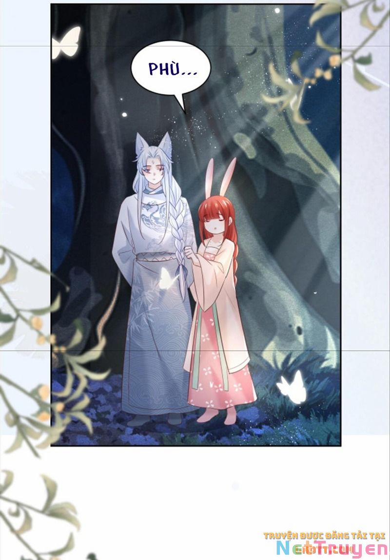 Nuôi Thỏ? Nam Chính Hắc Hóa Rồi! 46 trang 18